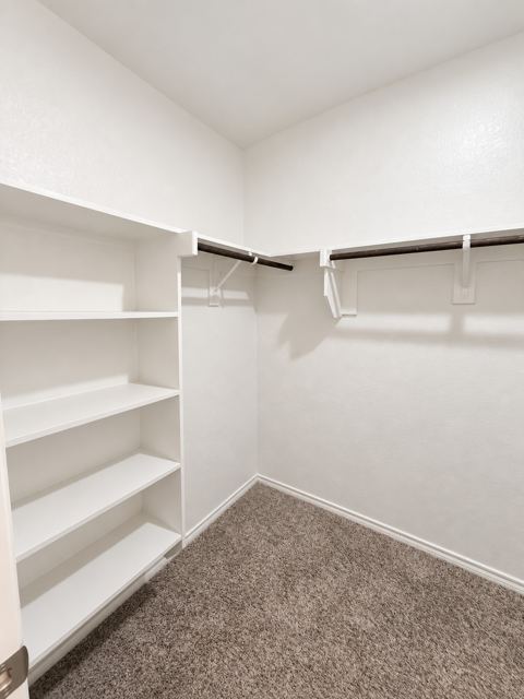 Primary walk-in closet